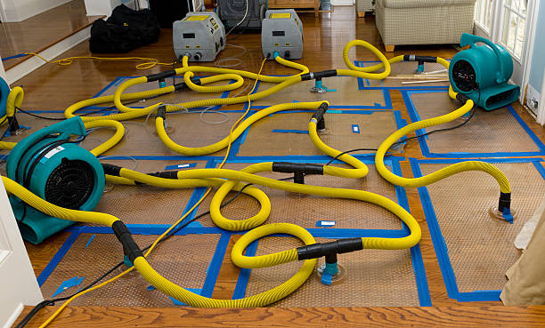 Professional Water Extraction technician working in South Vienna, OH